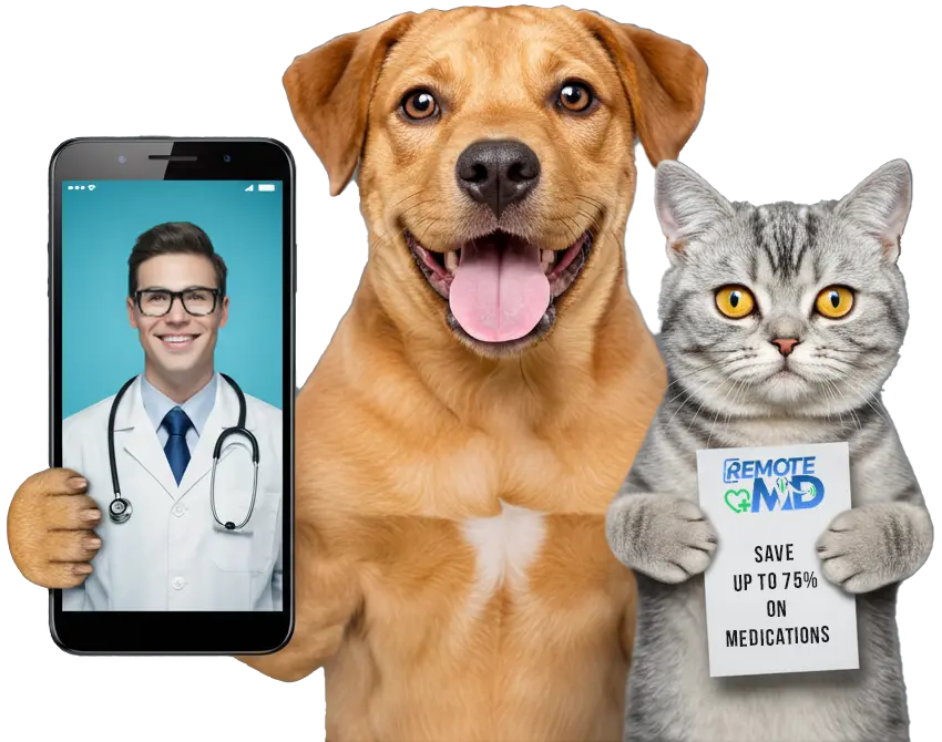 Remote MD Virtual Pet Care